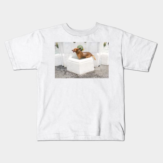 Water dog Kids T-Shirt by Parafull